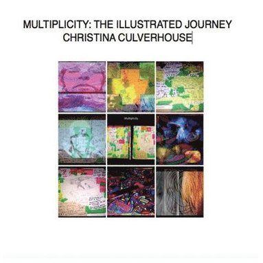 bokomslag Multiplicity: The Illustrated Journey