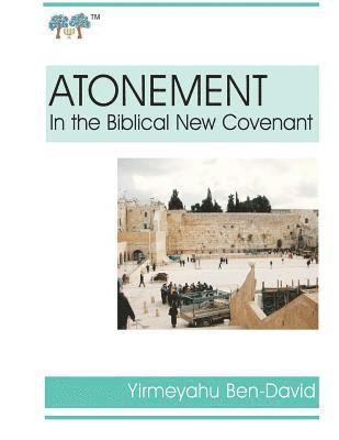 bokomslag Atonement in the Biblical New Covenant