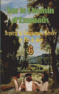 bokomslag Sur le Chemin d?Emmaüs: Acquérir la Connaissance Révélée du Fils de Dieu