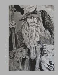bokomslag Odin the Wanderer