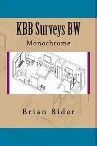 KBB Surveys BW: Monochrome 1