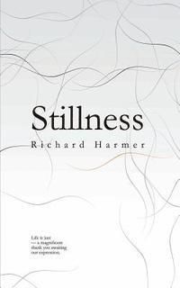 bokomslag Stillness