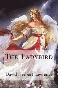 The Ladybird 1