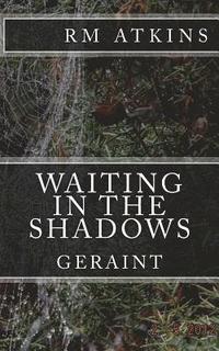 bokomslag Waiting in the Shadows: Geraint