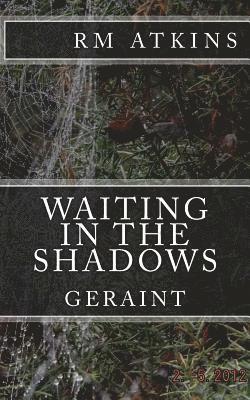 bokomslag Waiting in the Shadows: Geraint