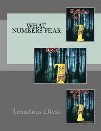 bokomslag What Numbers Fear