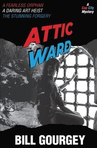 bokomslag Attic Ward