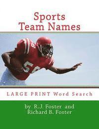 bokomslag Sports Team Names: Large Print Word Search