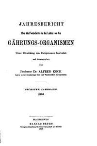 bokomslag Jahresbericht über die Fortschritte in der Lehre von den Gährungs-organismen