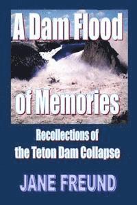 bokomslag A Dam Flood of Memories - Recollections of the Teton Dam Collapse