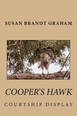 Susan Brandt Graham - Cooper's Hawk Courtship Display, Häftad
