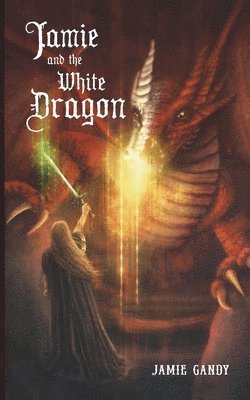 bokomslag Jamie and the White Dragon