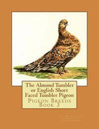 The Almond Tumbler or English Short Faced Tumbler Pigeon: Pigeon Breeds Book 3 1