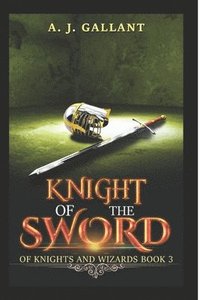 bokomslag Knight of the Sword
