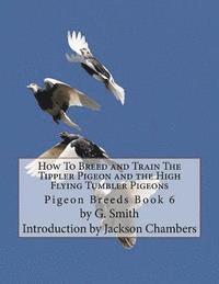 bokomslag How To Breed and Train The Tippler Pigeon and the High Flying Tumbler Pigeons: Pigeon Breeds Book 6