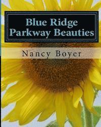 bokomslag Blue Ridge Parkway Beauties: First in a series on the Blue Ridge Mountains