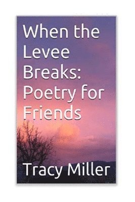 bokomslag When the Levee Breaks: Poetry for Friends