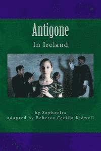 bokomslag Antigone in Ireland