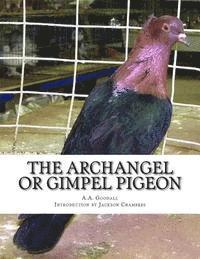 bokomslag The Archangel or Gimpel Pigeon: Pigeon Breeds Book 8