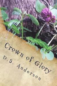 bokomslag Crown of Glory: Book One of the Second Armageddon Saga