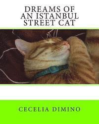 bokomslag Dreams of an Istanbul Street Cat