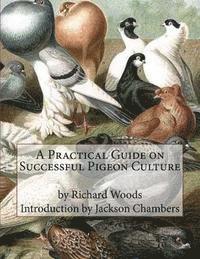 bokomslag A Practical Guide on Successful Pigeon Culture