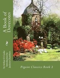 bokomslag A Book of Dovecotes: Pigeon Classics Book 2