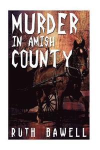 bokomslag Murder in Amish County (Amish Mystery and Suspense)