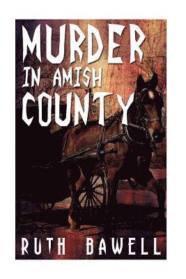 bokomslag Murder in Amish County (Amish Mystery and Suspense)