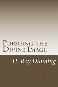 bokomslag Pursuing the Divine Image: An Exegetically based Theology of Holiness