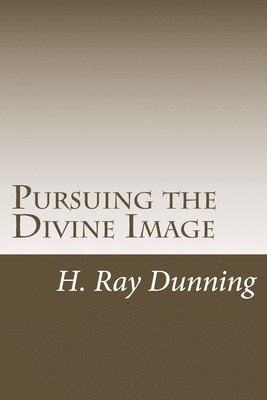 bokomslag Pursuing the Divine Image: An Exegetically based Theology of Holiness