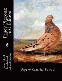 bokomslag Fancy Pigeons: First Edition: Pigeon Classics Book 3