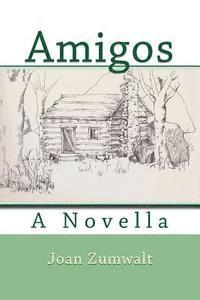 bokomslag Amigos: A Novella