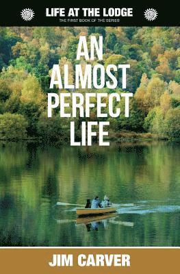 An Almost Perfect Life 1