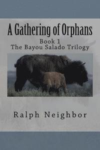 bokomslag A Gathering of Orphans
