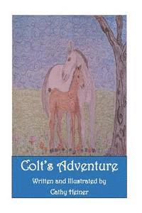 Colts Adventure 1