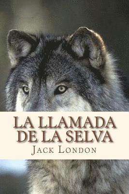 La llamada de la selva 1