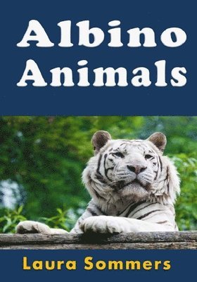 bokomslag Albino Animals