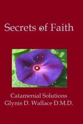 bokomslag Secrets of Faith: Catamenial Solutions