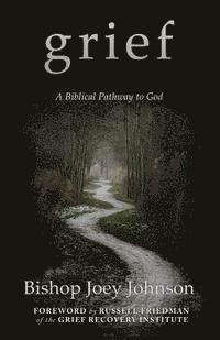 bokomslag Grief: A Biblical Pathway to God