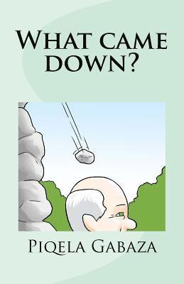 Piqela Gabaza - What came down?, Häftad