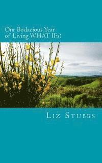 Liz Stubbs - Our Bodacious Year of Living WHAT IFs!: For ON-THE-GO humans: SNACK-SIZE empowering prompts that create LIFE-TRANSFORMING shifts, Häftad