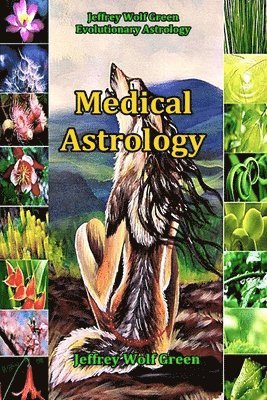 bokomslag Medical Astrology