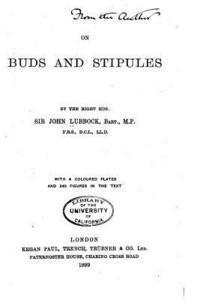 On Buds and Stipules 1