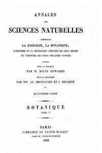 Annales des sciences naturelles - Tome V 1