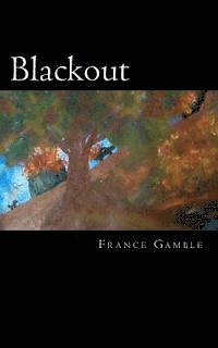 bokomslag Blackout: Book One