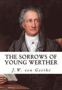 bokomslag The Sorrows of Young Werther