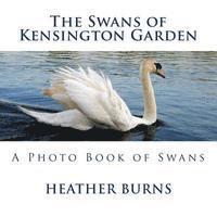 bokomslag The Swans of Kensington Garden: A Photo Book of Swans