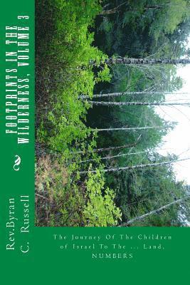 Byran C. Russell - Footprints in the Wilderness: The Journey of the Children of Israel to the Promised Land, Häftad