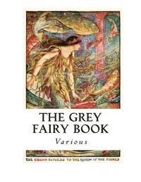 bokomslag The Grey Fairy Book